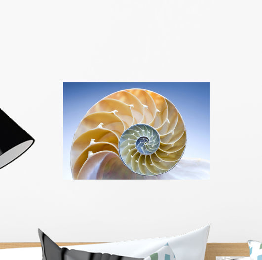 Nautilus Wall Decal
