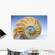 Nautilus Wall Decal