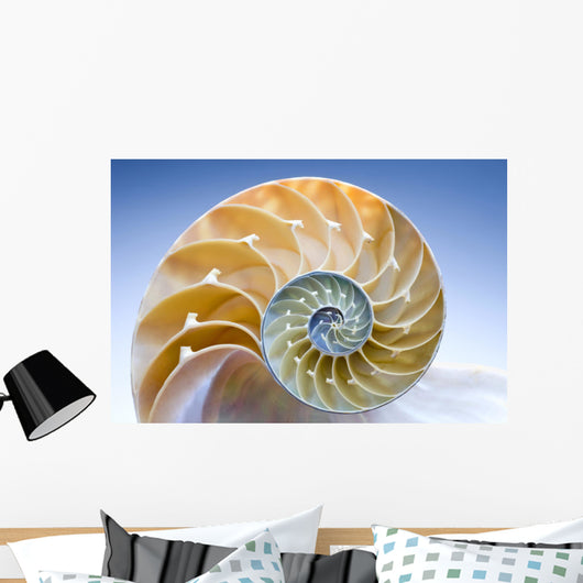Nautilus Wall Decal