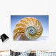 Nautilus Wall Decal