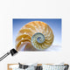 Nautilus Wall Decal