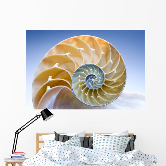 Nautilus Wall Decal