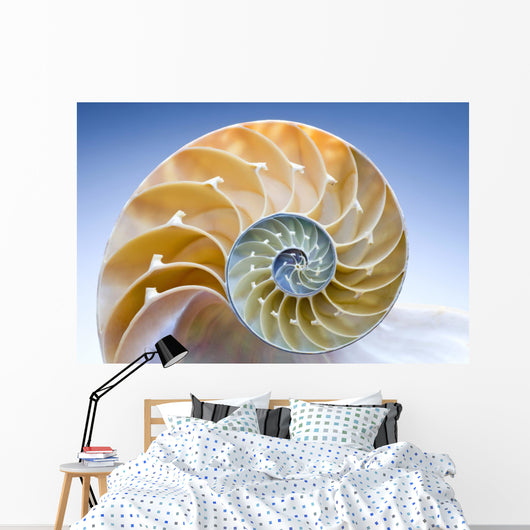 Nautilus Wall Decal
