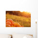 Pumpkins Outdoor Wall Decal