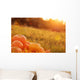Pumpkins Outdoor Wall Decal