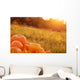Pumpkins Outdoor Wall Decal