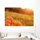 Pumpkins Outdoor Wall Decal