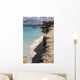 Bonaire Beach Wall Decal