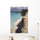 Bonaire Beach Wall Decal