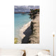 Bonaire Beach Wall Decal