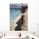 Bonaire Beach Wall Decal