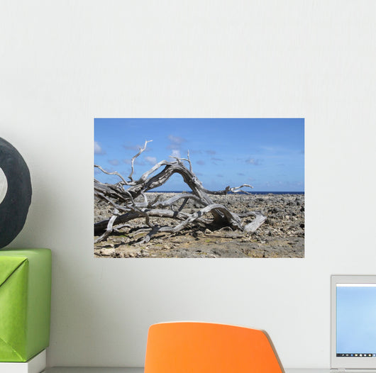 Washington Park Bonaire Wall Decal