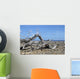 Washington Park Bonaire Wall Decal
