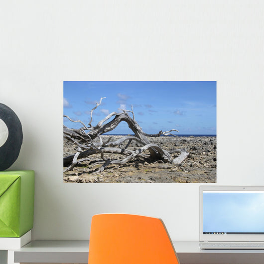 Washington Park Bonaire Wall Decal
