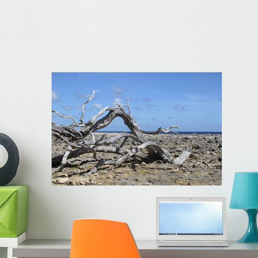 Washington Park Bonaire Wall Decal