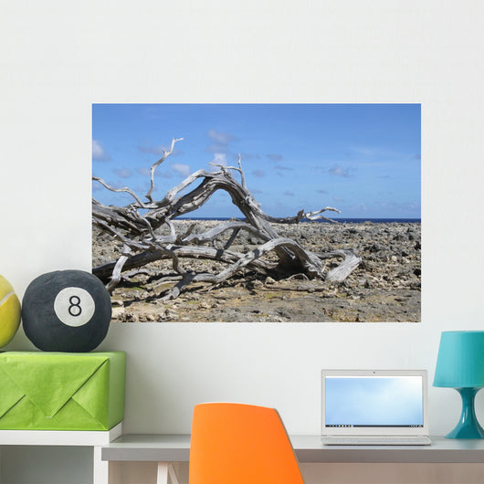 Washington Park Bonaire Wall Decal