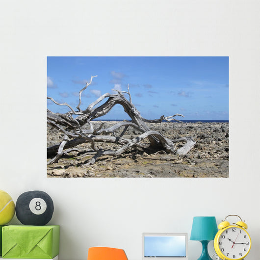 Washington Park Bonaire Wall Decal