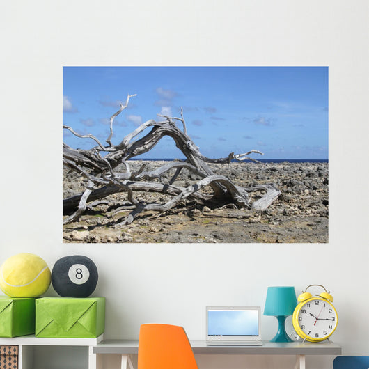 Washington Park Bonaire Wall Decal
