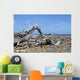 Washington Park Bonaire Wall Decal