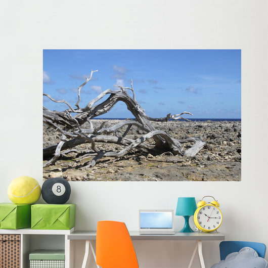 Washington Park Bonaire Wall Decal