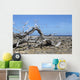 Washington Park Bonaire Wall Decal