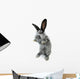 Gray Rabbit Wall Decal