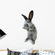 Gray Rabbit Wall Decal