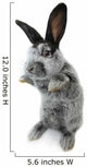 Gray Rabbit Wall Decal