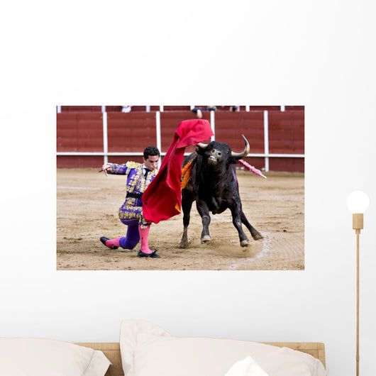 Matador Bullring Bull Fighting Wall Decal