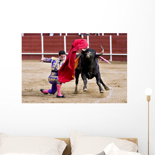 Matador Bullring Bull Fighting Wall Decal