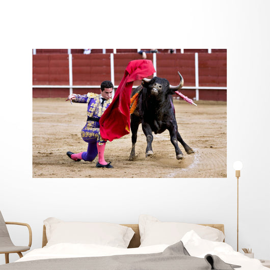 Matador Bullring Bull Fighting Wall Decal
