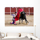 Matador Bullring Bull Fighting Wall Decal