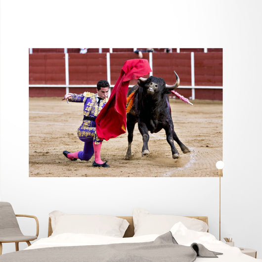 Matador Bullring Bull Fighting Wall Decal
