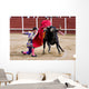 Matador Bullring Bull Fighting Wall Decal