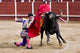 Matador Bullring Bull Fighting Wall Decal