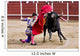 Matador Bullring Bull Fighting Wall Decal