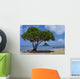 Chinaman's Hat Wall Decal