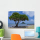 Chinaman's Hat Wall Decal