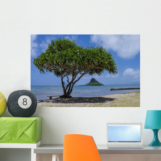 Chinaman's Hat Wall Decal