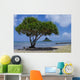 Chinaman's Hat Wall Decal