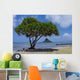 Chinaman's Hat Wall Decal