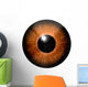 Detail Eye with Brown Wall Decal