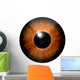 Detail Eye with Brown Wall Decal