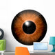 Detail Eye with Brown Wall Decal