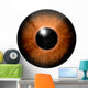 Detail Eye with Brown Wall Decal