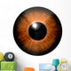 Detail Eye with Brown Wall Decal