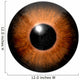 Detail Eye with Brown Wall Decal