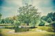 Little Green Isle Park Wall Decal