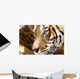 Tete Tigre Wall Decal