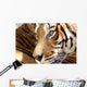 Tete Tigre Wall Decal